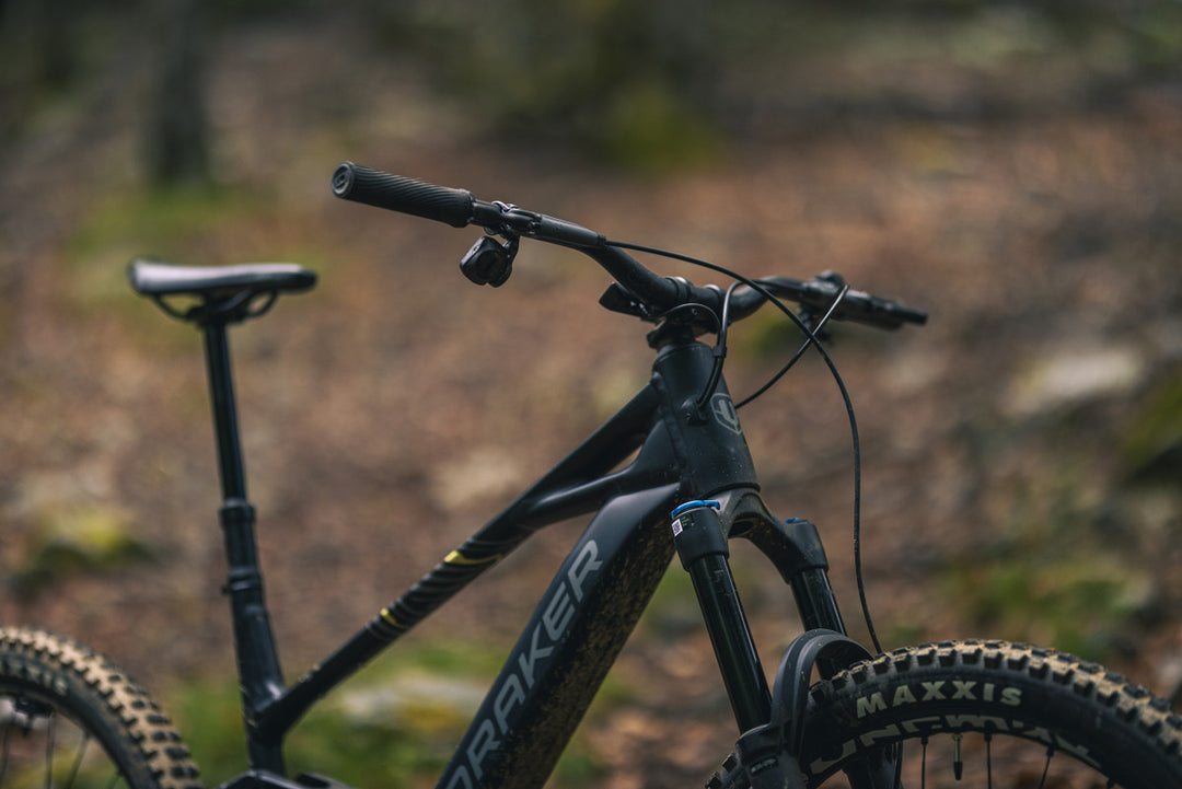 2025 Mondraker Sly RR Light EMTB
