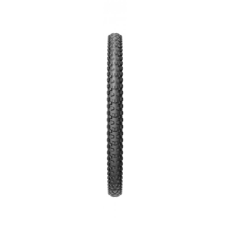Pirelli Scorpion Race DH M Dualwall+ Tyre