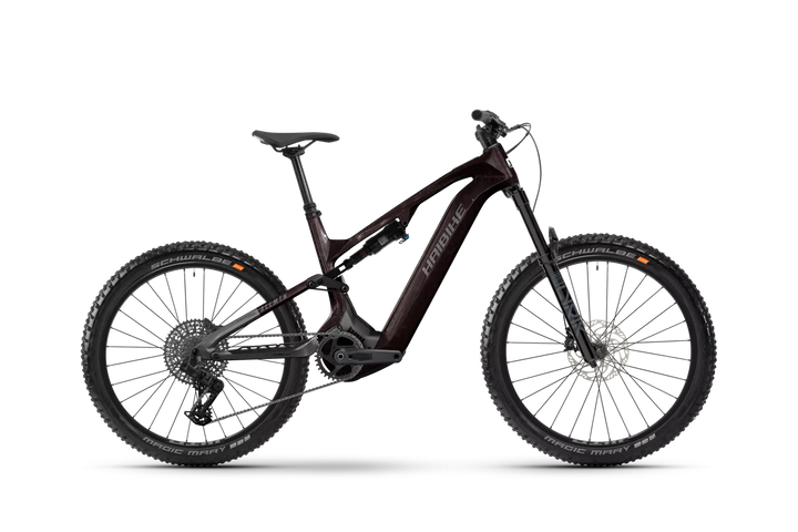 2025 Haibike AllMtn CF9 EMTB
